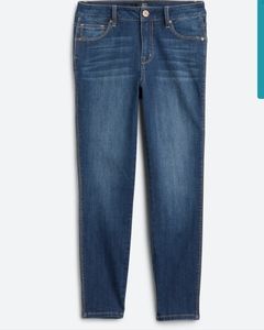 1822 Denim Vintage Anneta High Rise Skinny Jean